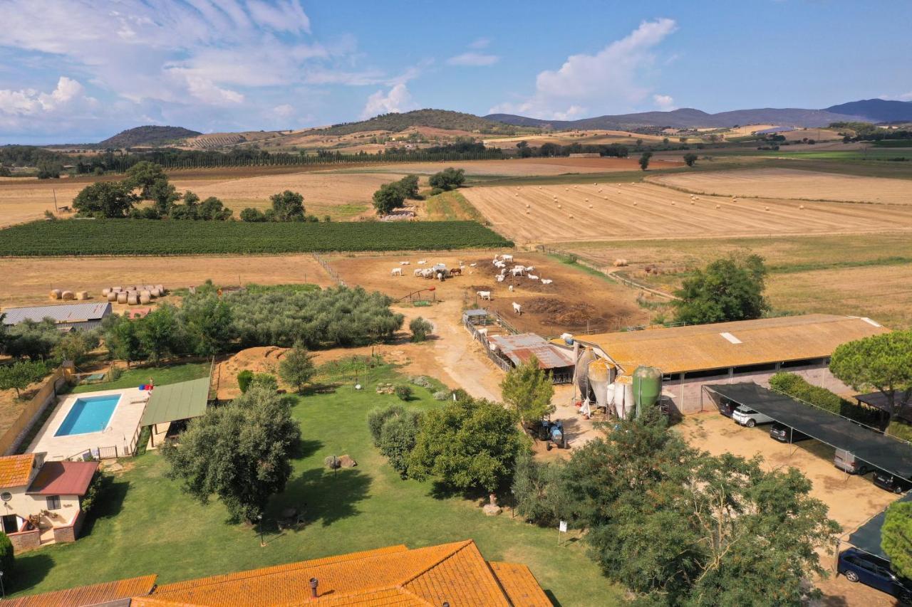 Agriturismo Al Girasole San Donato  Bagian luar foto
