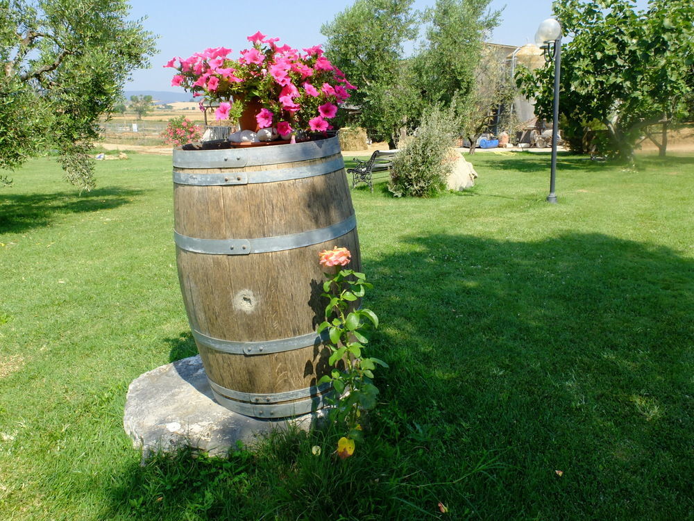 Agriturismo Al Girasole San Donato  Bagian luar foto